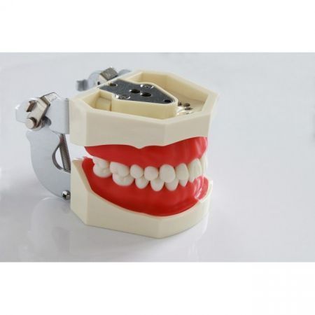 Jingle Phantom jaw - фантомная челюсть 01