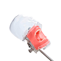 Фантомы головы для стоматологии, купить в GREEN DENT, акции и специальные цены. 