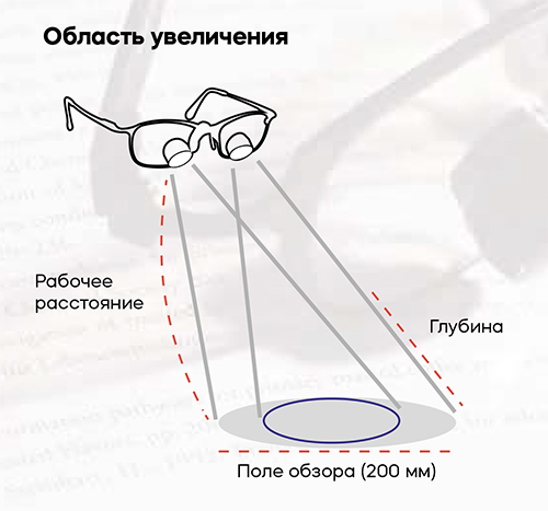 NK vision_web-2.jpg