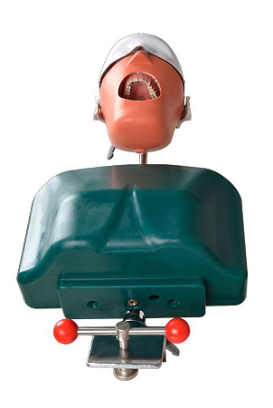 Jingle JG-C1 — Стоматологический фантом пациента мобильный 